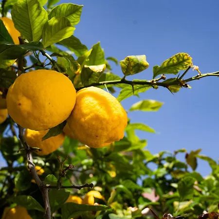 Casa Serena Feriehus *