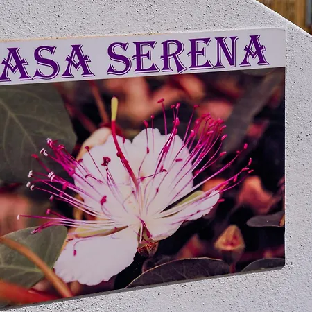 Casa Serena Casa vacanze *