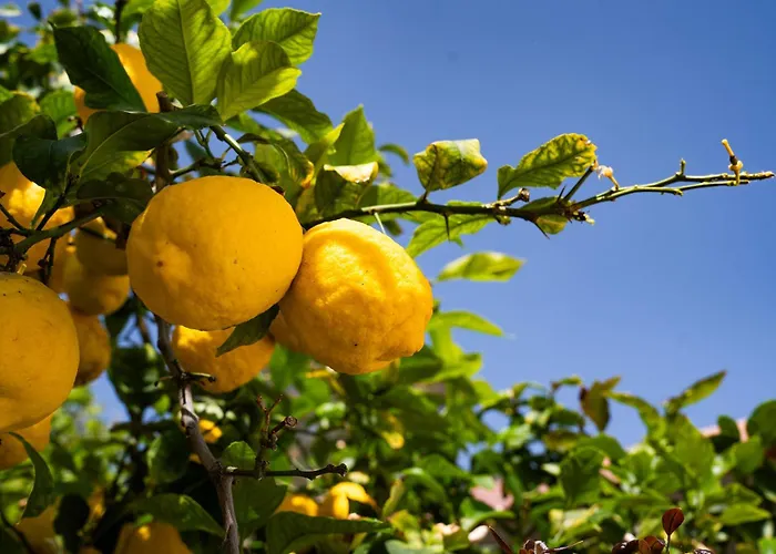 Casa Serena 펜션 *